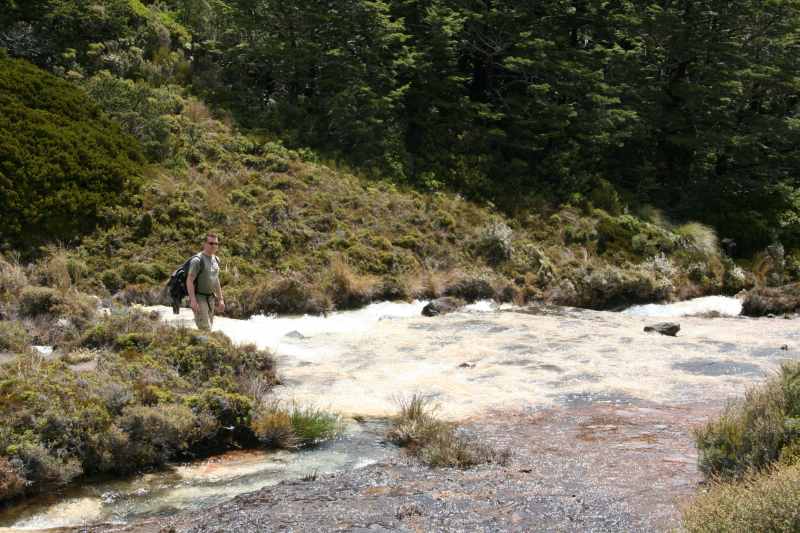 Nieuw-Zeeland 2011 - 0852